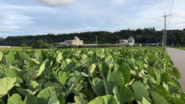 后里農地-5
