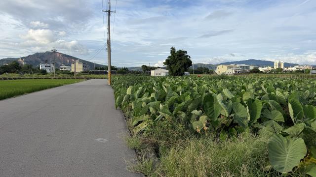 后里農地-7