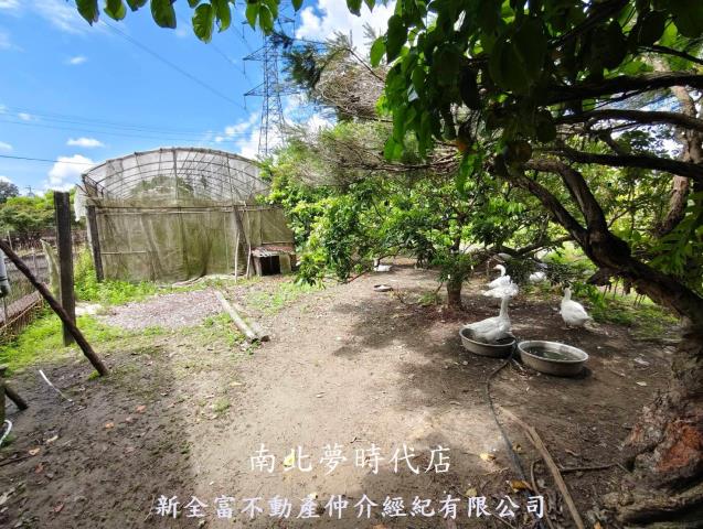 左鎮農地-11