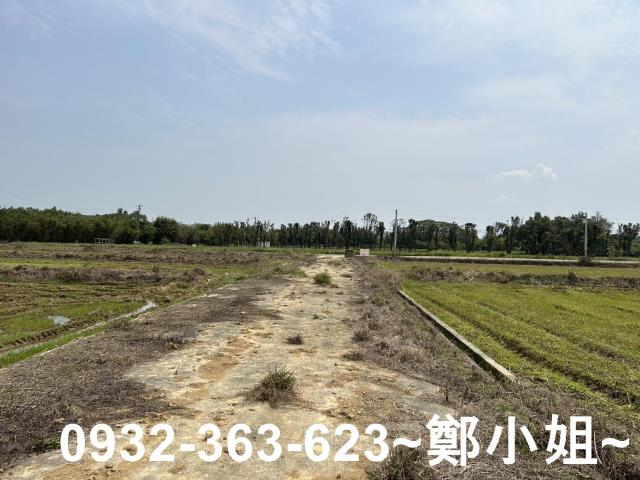 楊梅農地-11