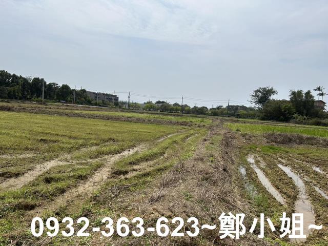 楊梅農地-13