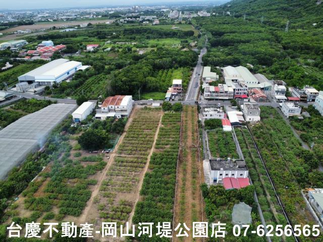 高雄阿蓮農地-11
