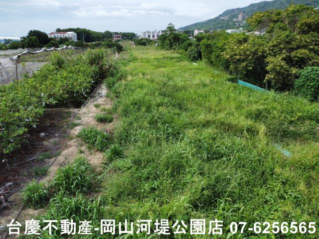 高雄阿蓮農地-12