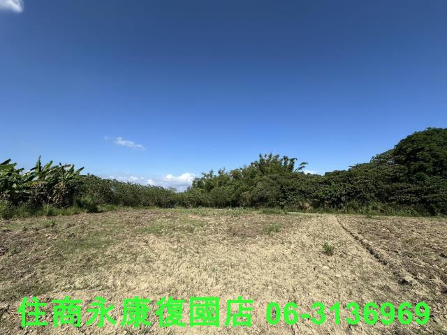 台南左鎮農地-5