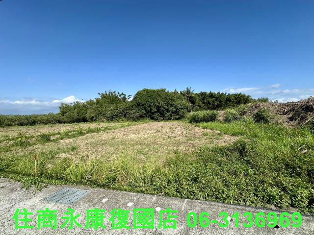 台南左鎮農地-9