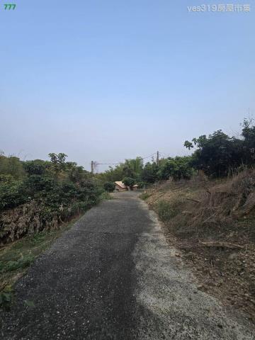 大樹農地-1