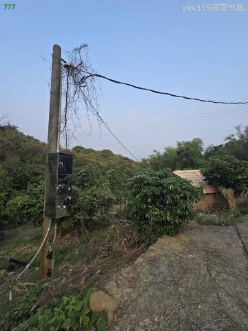 大樹農地-7