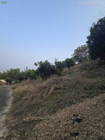 大樹農地-8