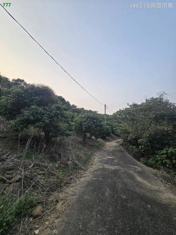 大樹農地-9