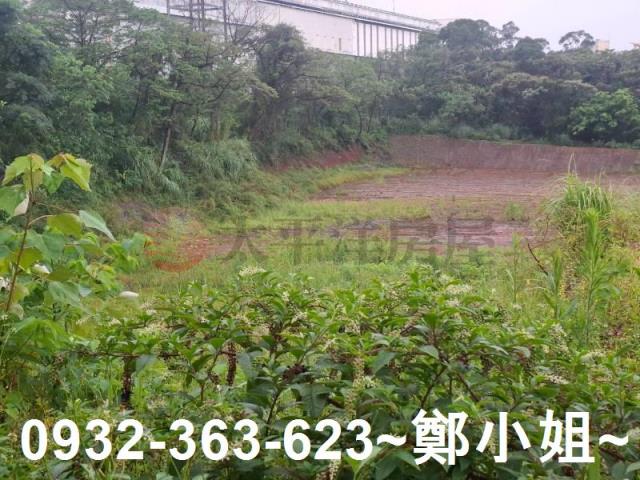 桃園交通用地-11