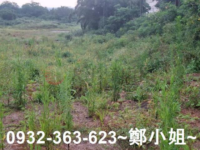 桃園交通用地-4