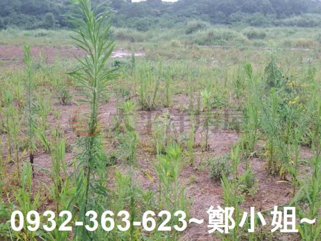 桃園交通用地-5