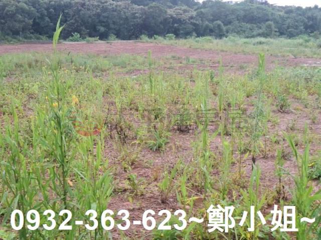 桃園交通用地-6