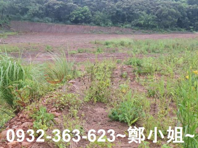 桃園交通用地-7