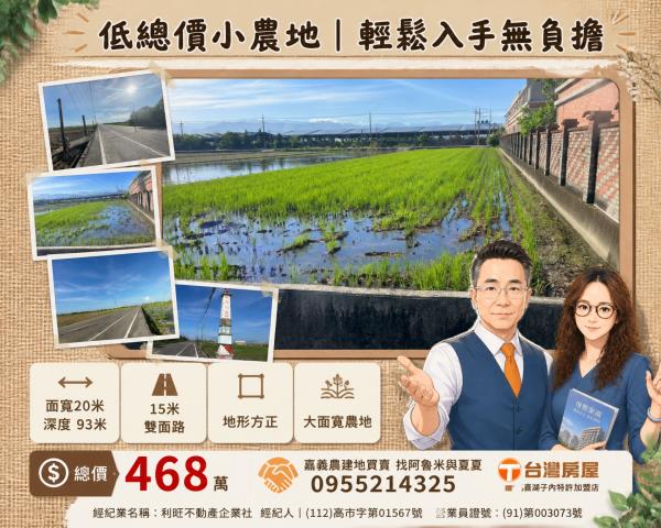 雲林水林農地-1