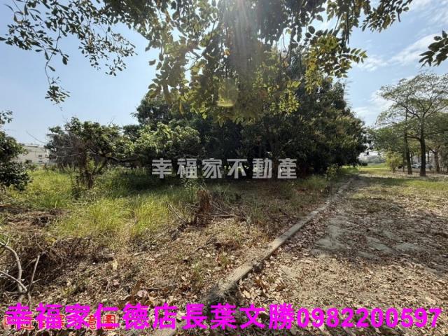 台南歸仁農地-2