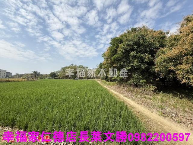 台南歸仁農地-3