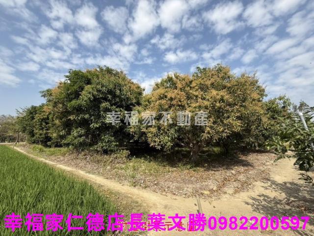台南歸仁農地-6