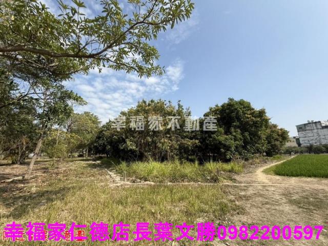 台南歸仁農地-7