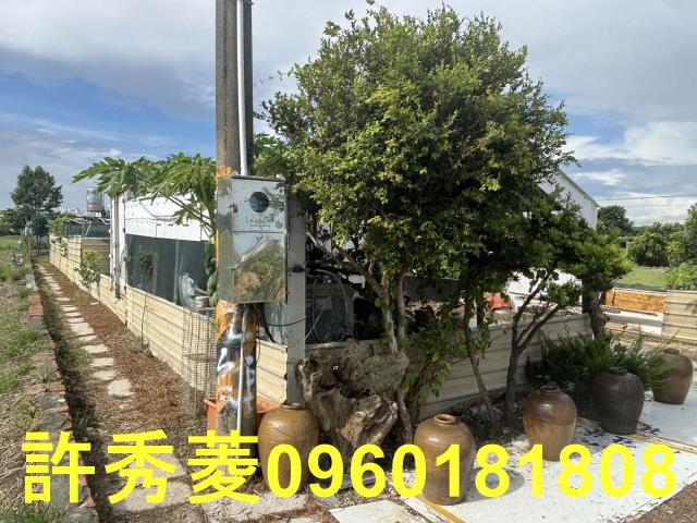 高雄梓官農地-2