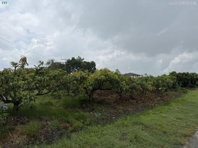 高雄美濃農地-2