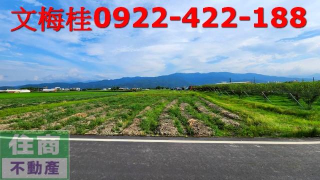 宜蘭三星農地-4