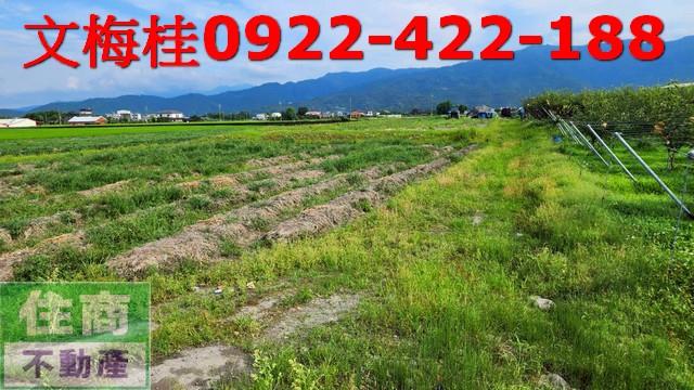 宜蘭三星農地-6