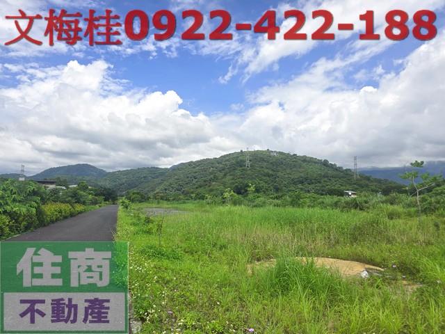 宜蘭員山農地-11