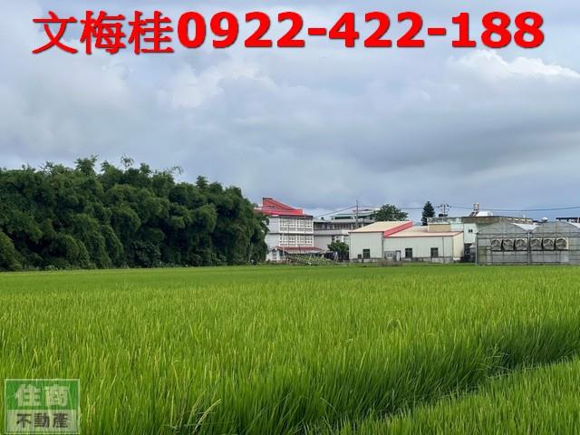 宜蘭壯圍農地-8