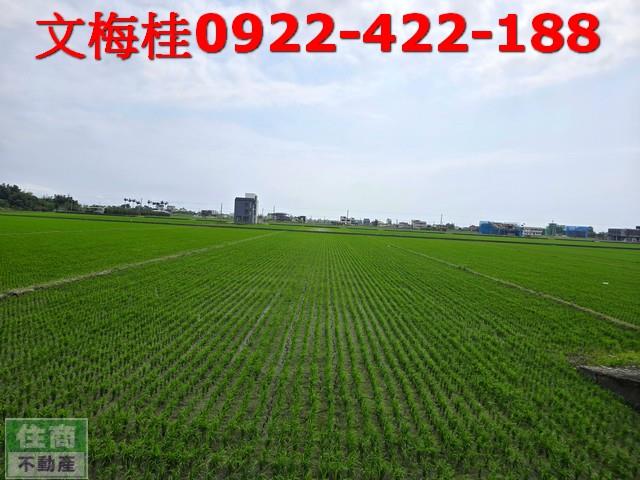 宜蘭礁溪農地-1