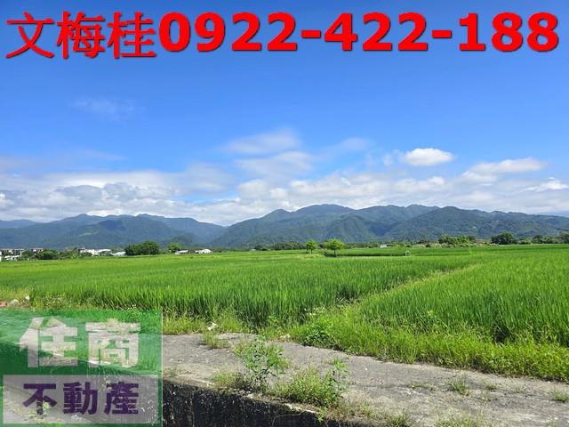 宜蘭三星農地-3