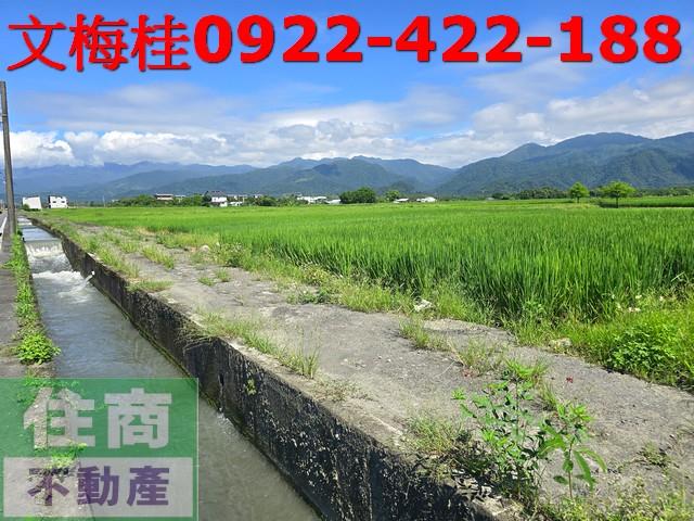 宜蘭三星農地-4