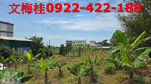 頭城農地-3