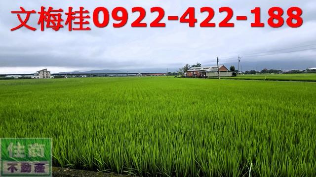 礁溪農地-4