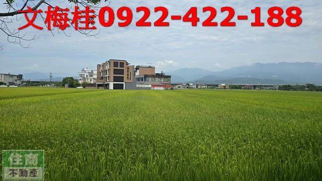 壯圍農地-6
