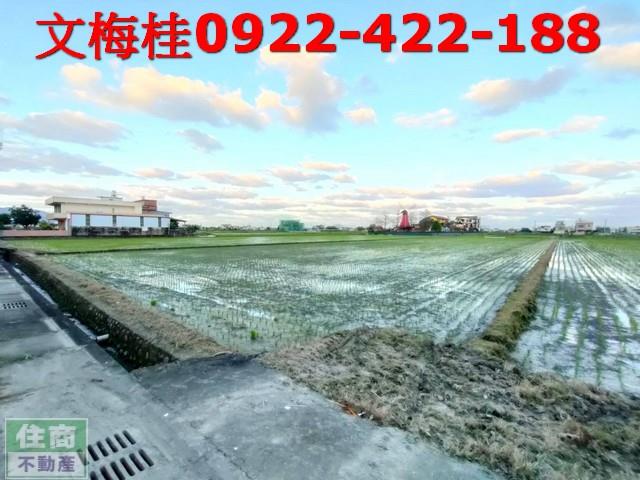 宜蘭農地-1