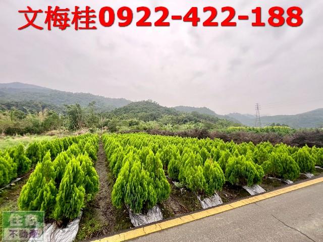宜蘭三星農地-3