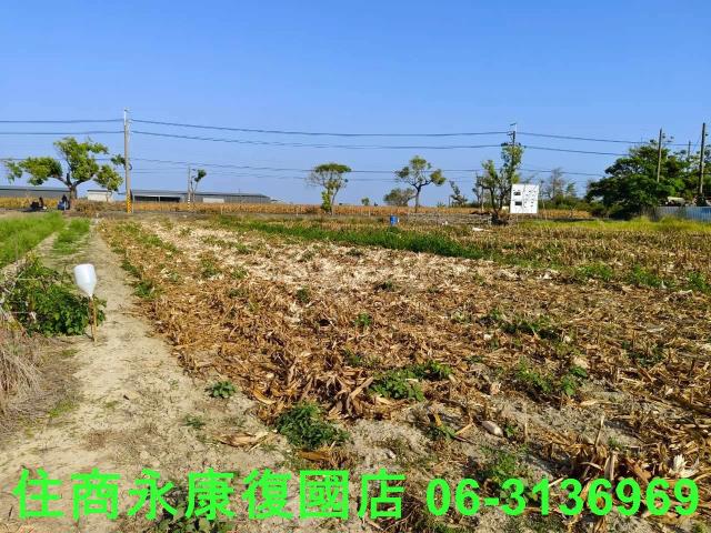 佳里農地-11