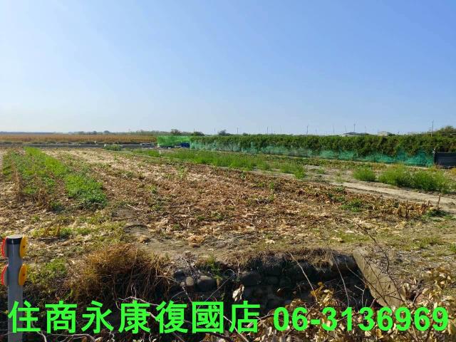 佳里農地-14