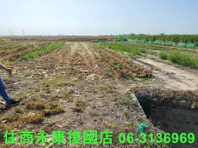 佳里農地-3