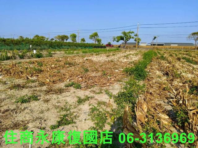 佳里農地-8