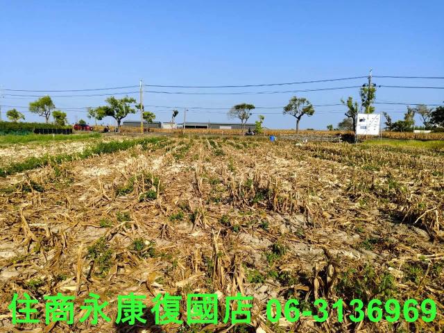 佳里農地-9
