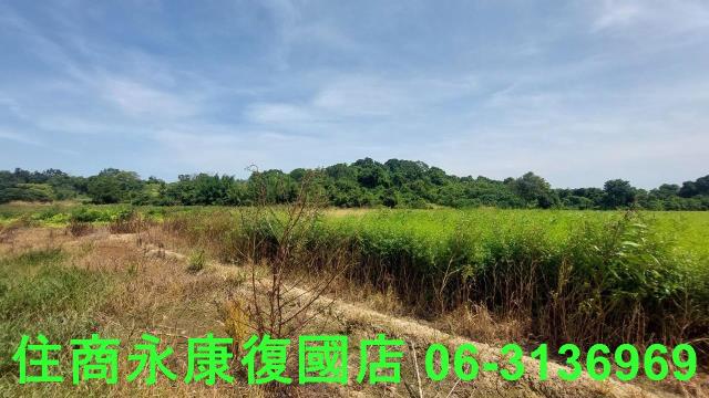 官田農地-8