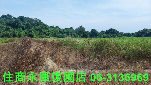 官田農地-6
