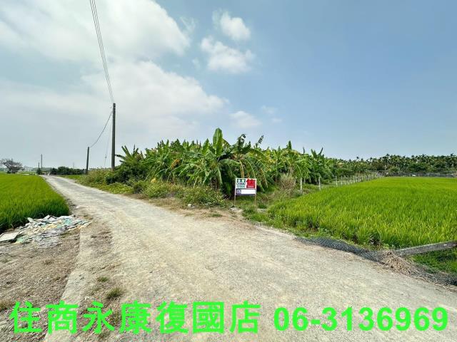 崁頂農地-2