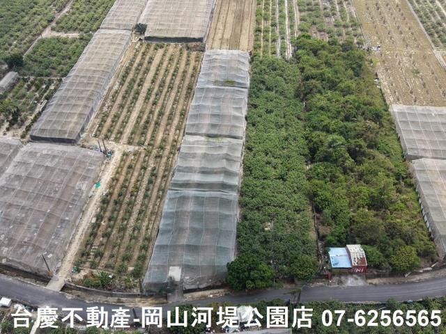 燕巢農地-8