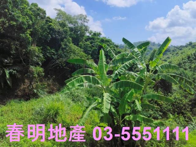 新竹農地-10