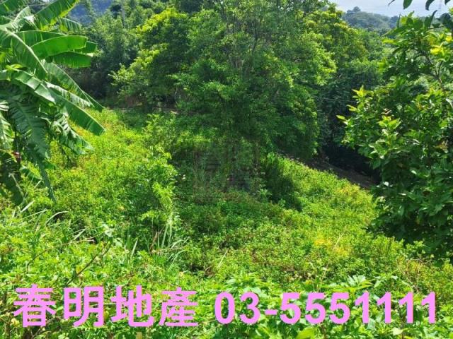 新竹農地-13