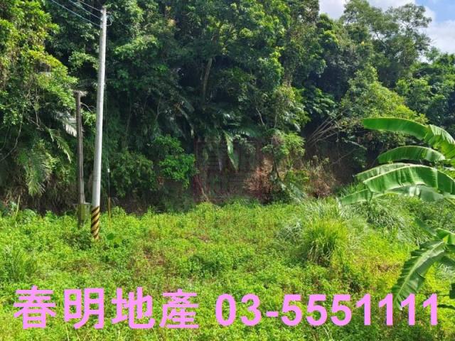 新竹農地-14