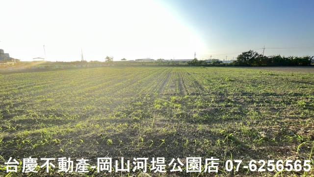 台南新營農地-9